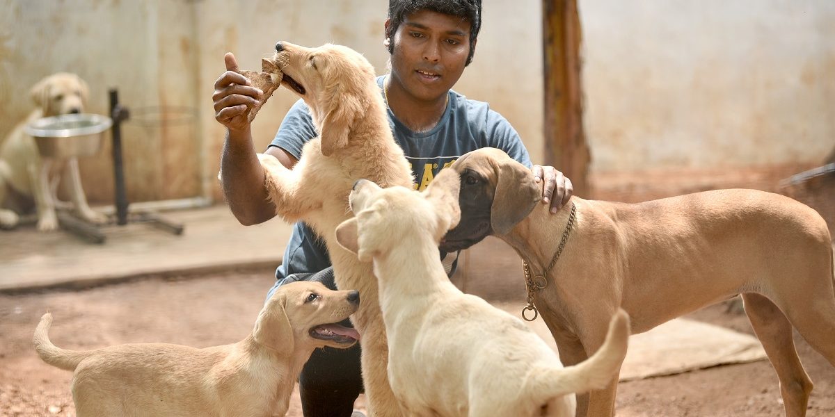 Though Well-Intentioned, Courts' Recognition of Rights for Animals Is Legally Problematic