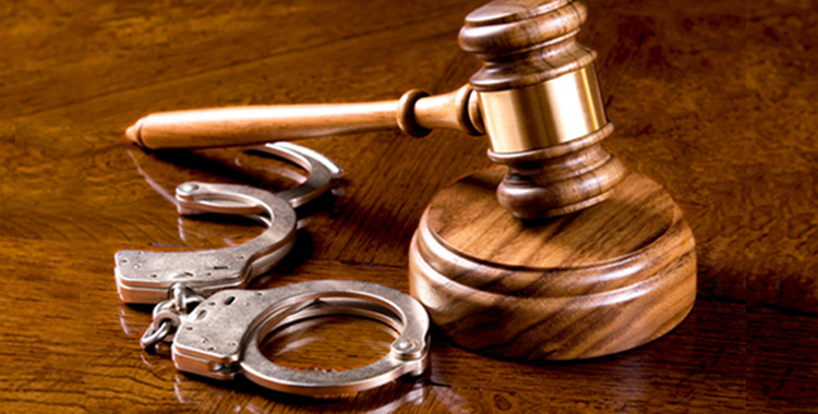 Identifying causes and finding solutions for delay in disposal of criminal appeals: Final Report