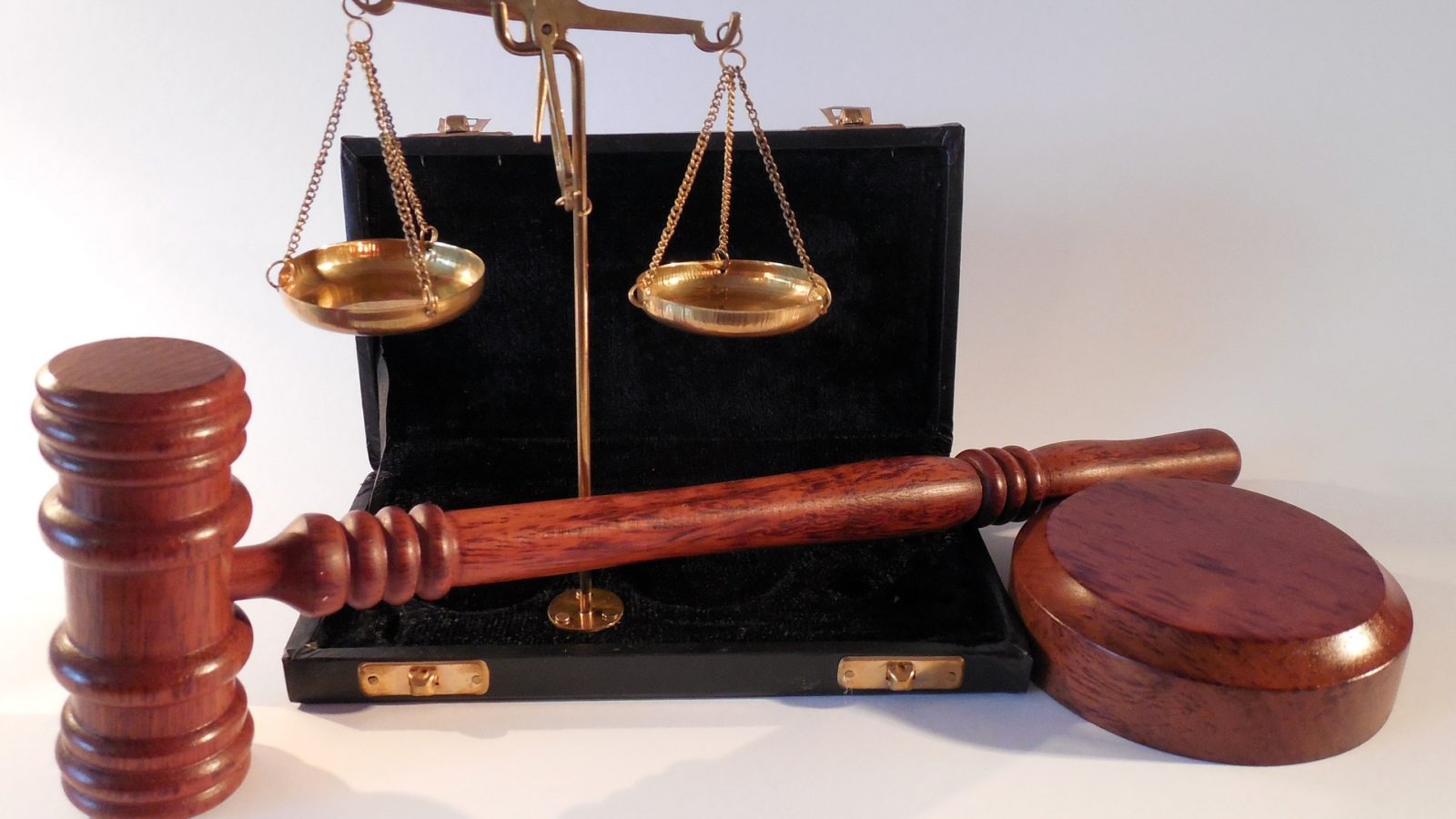 Why do lawyers enjoy immunity against wrong practices?